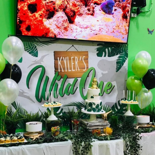 Jungle Land, an ideal venue for hosting a kid’s birthday party in Vaughan, Ontario.